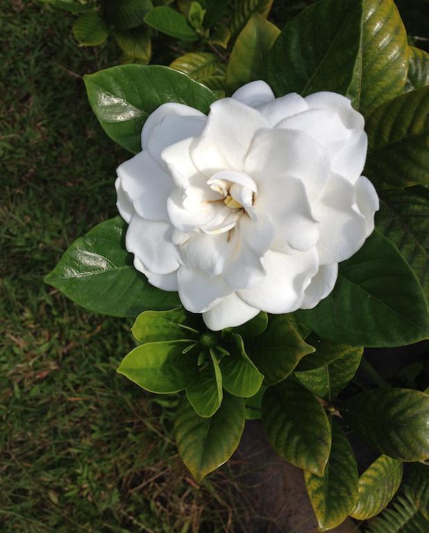 Heavenly Hana Paradise Kamer foto