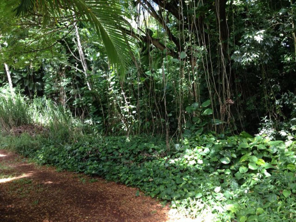 Heavenly Hana Paradise Kamer foto